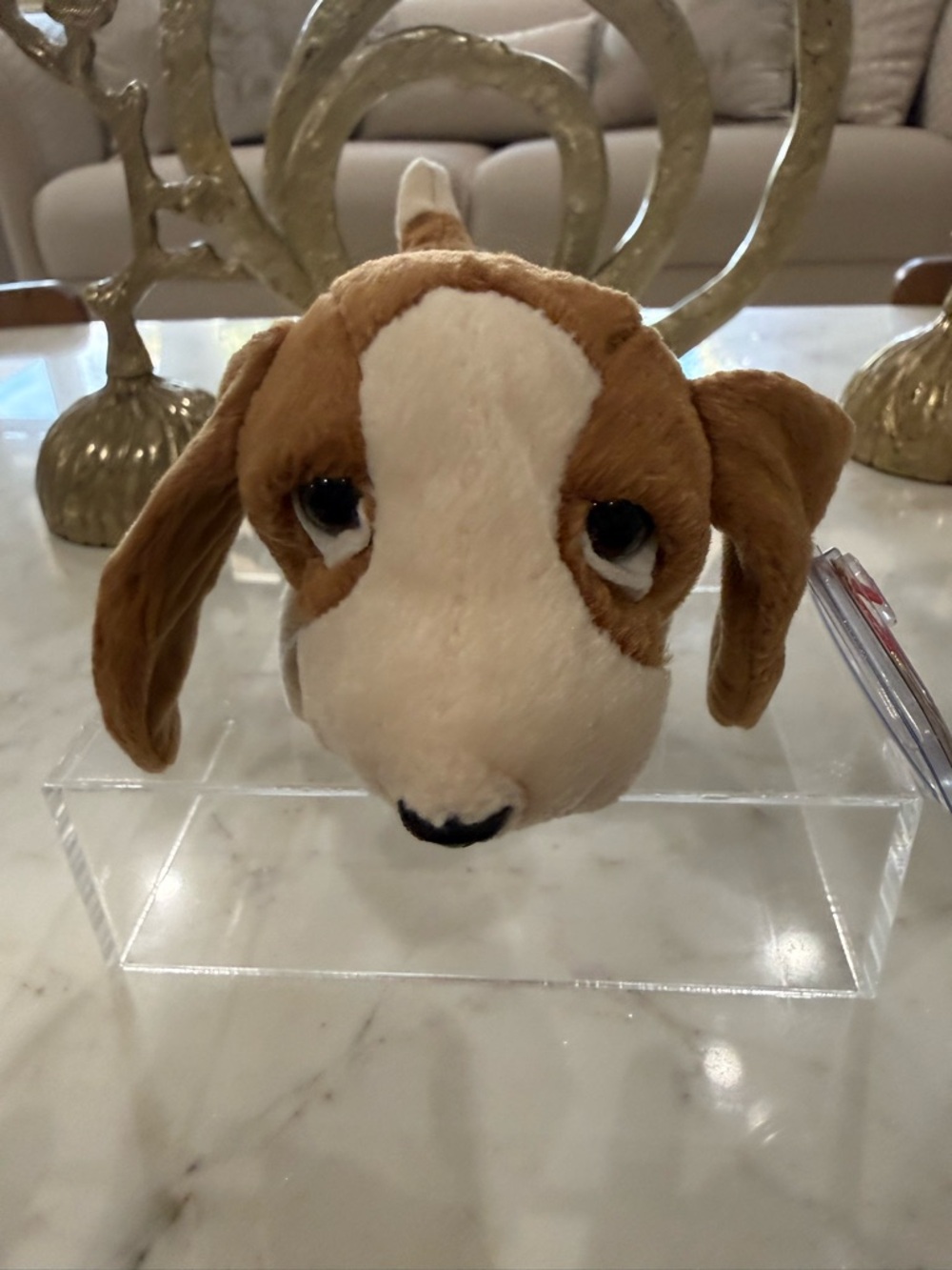 Ty Brown and White Dog Beanie Boo Plush